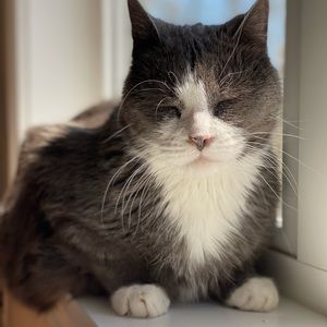 Meet your Posher, Victoria